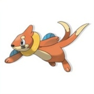 17147662_CAMNEEYOB - 0-0pokemon