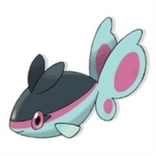 17147689_YBMRVCZQA - 0-0pokemon