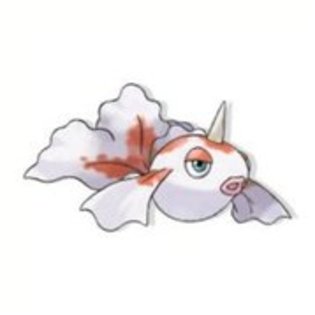 17147691_WMWUGHUPK - 0-0pokemon