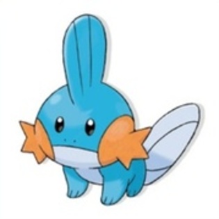 17147717_HSILTJJGX - 0-0pokemon