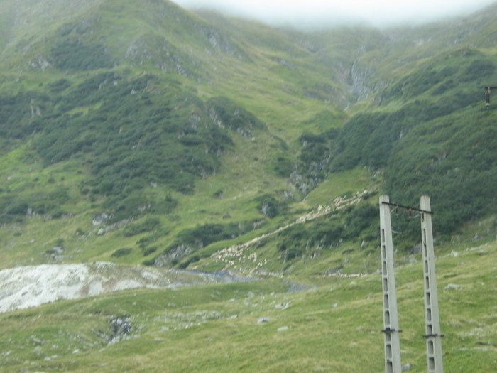 IMG_5714 - 2010-08-29 Transfagarasan