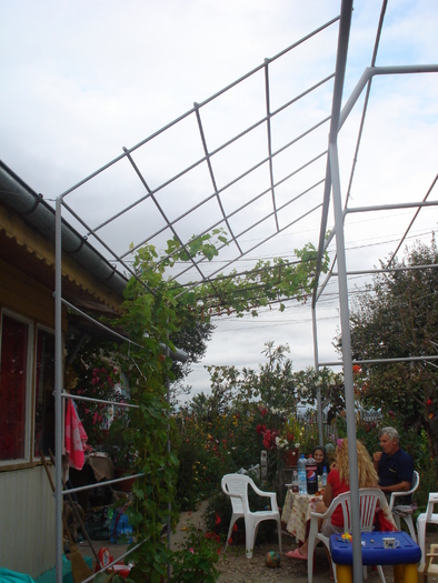 PRIMII STROPI DE PLOAIE...