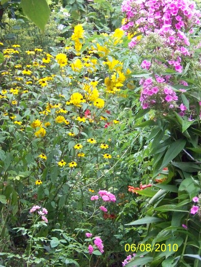 100_8376 - August 2010 Albumul 1