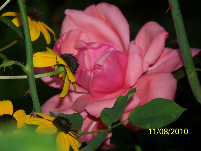 100_8725 - August 2010 Albumul 2