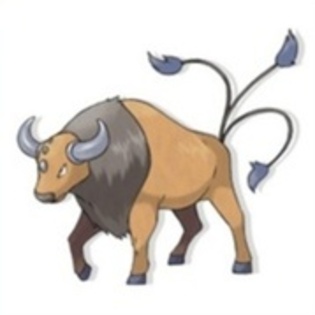 20693204_RCFLTFYMX - tauros