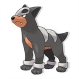 20693314_CMVCGBTPX - houndour