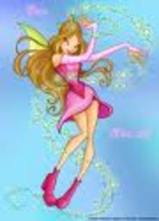 y - winx flora