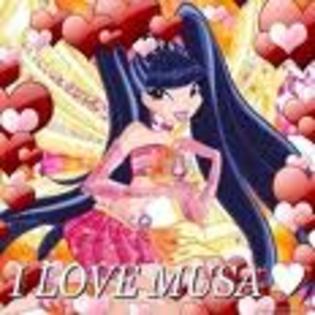 musa (10)