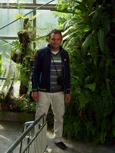 gradina botanica cluj; eu intre un mix de plante cataratoare: tropicale/mediteraneene/australiene/america de sud
