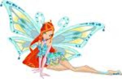 bloom (7) - winx bloom