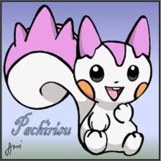  - pachirisu un pokemon so sweet