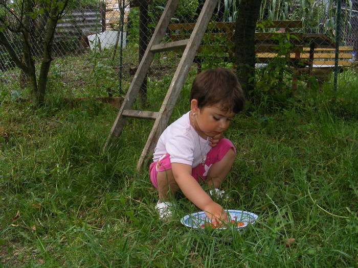 11-12-13  06 2010 089