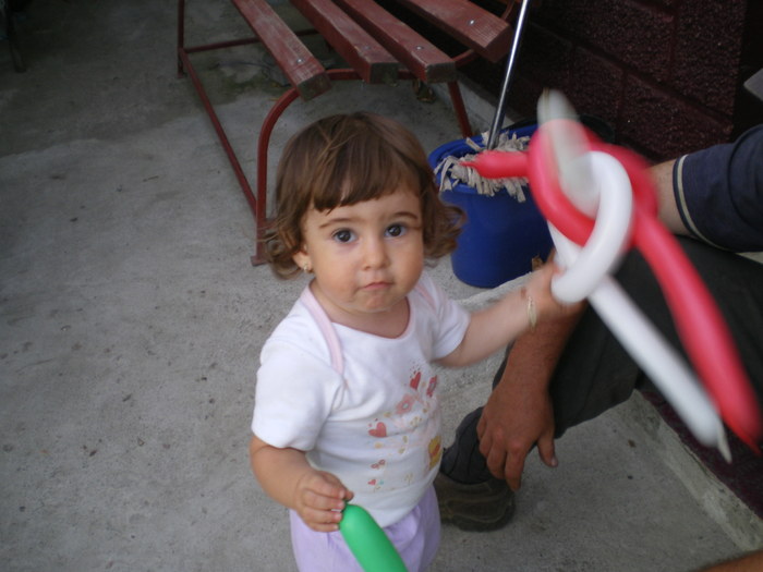 T290810 005 - DELIA