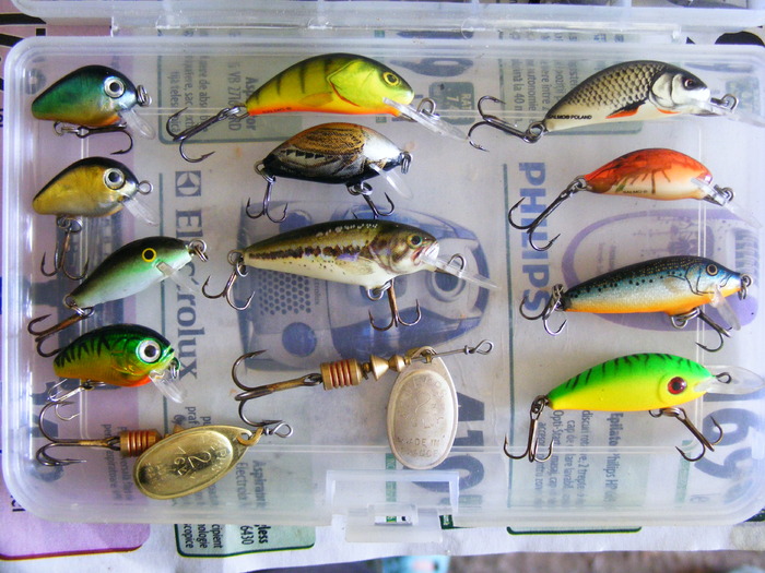 2010_0616Martie-20090084