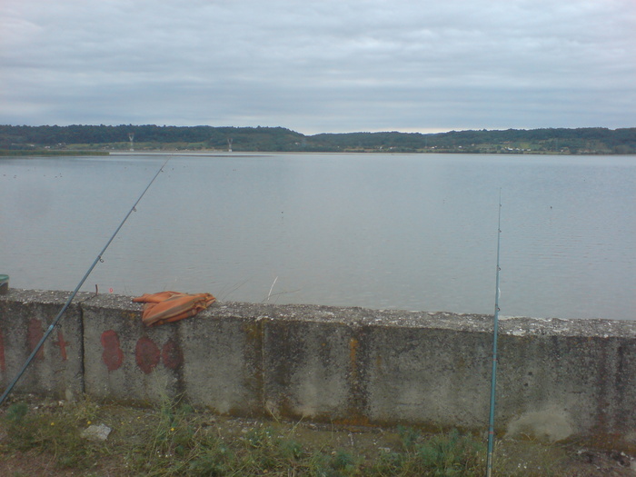 aruncai si aici betele!!!