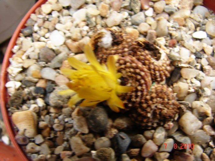 DSC08801