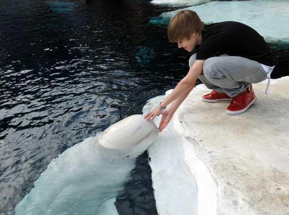 19751563_DCEPCHEYV - JUSTIN BIEBER In San Diego Sea World