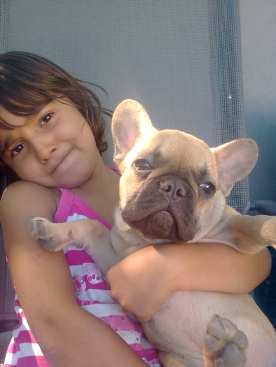 Maya Buldog francez; fetita 4 luni
