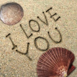 Beach%20Shells - I love you