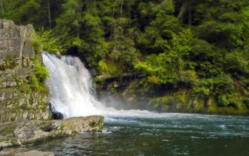 Cascada_Nature - Poze natura