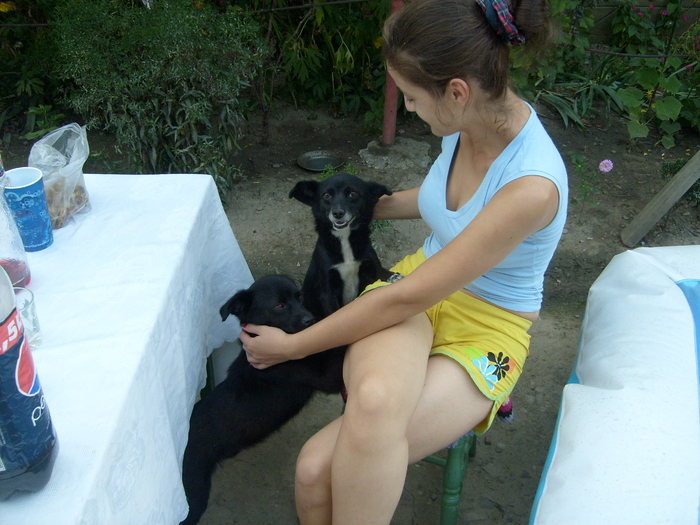 Aly si Codita la socrii mei - Animalute si pasari