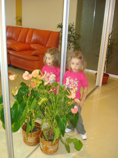 DELIA SI ANTHURIUMUL - FLORILE MELE