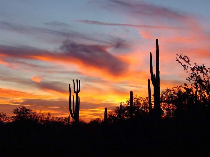 ArizonaSunset - arizona-canyon