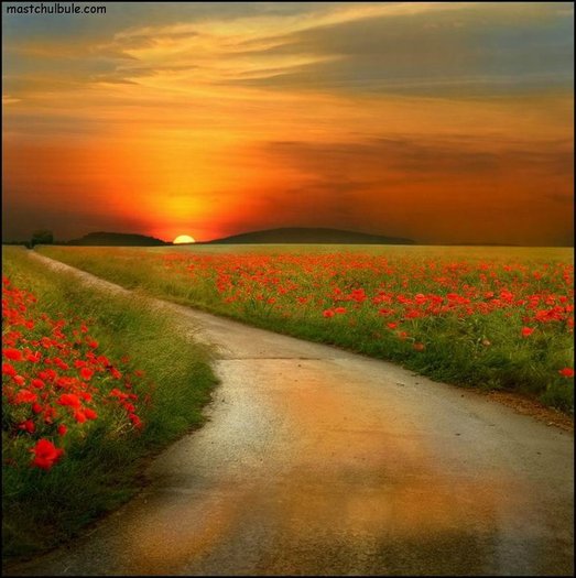 28480_1256106217895_1686785793_519539_6633230_n - peisaje superbe