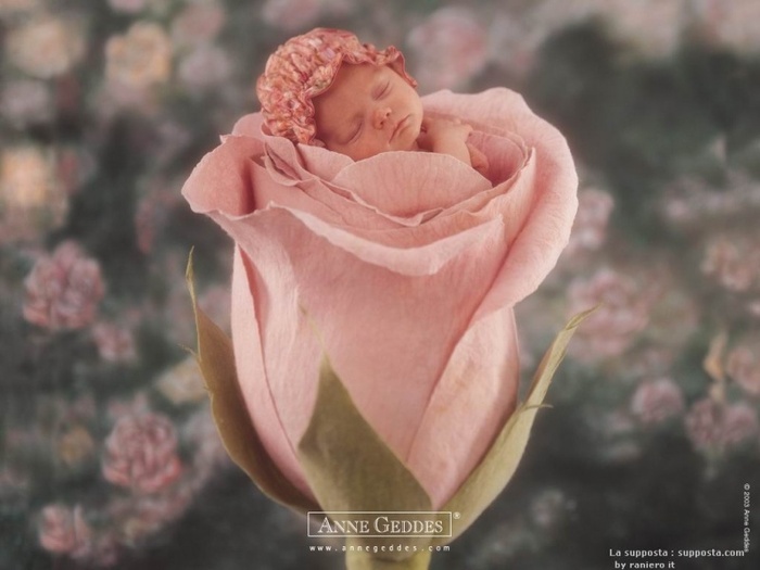 sleeping_bebe-800x600 - peisaje superbe