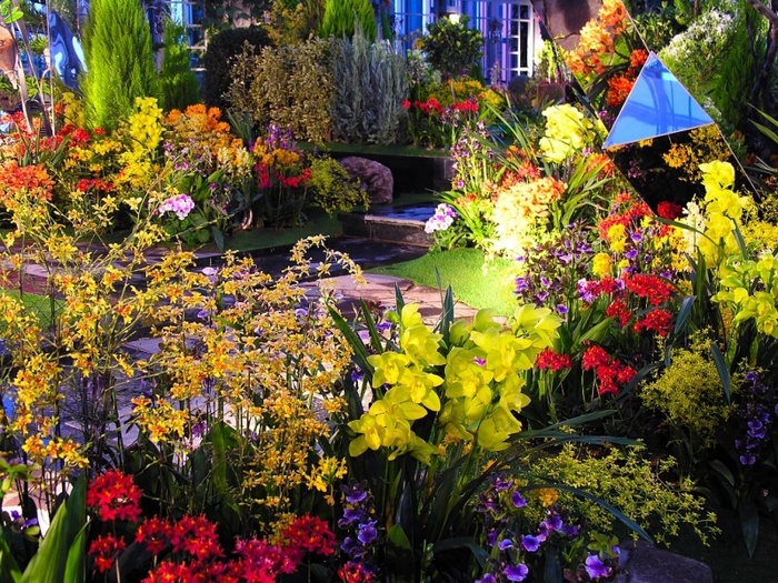 gradina_flowers-800x600