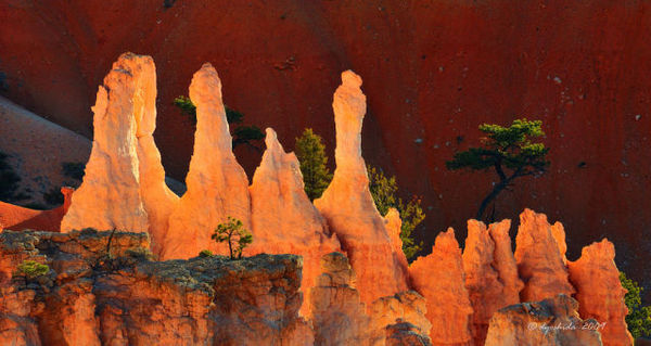 beautiful-bryce-canyon-640-15 - Canionul Bryce