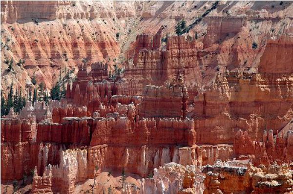 beautiful-bryce-canyon-640-25 - Canionul Bryce