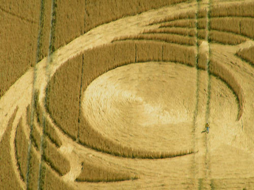 PICT0050 - Cercurile misterioase din lanuri