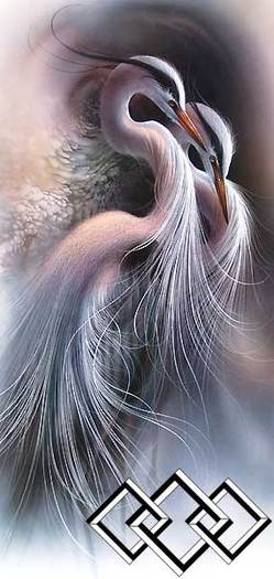 harmony - Lee Bogle