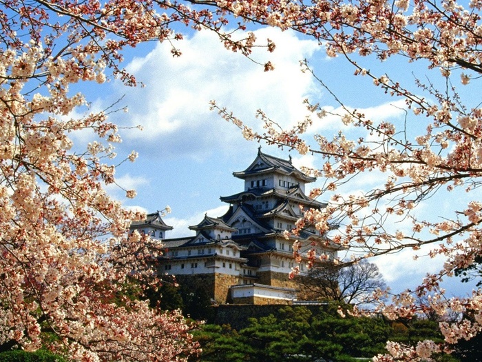 himeji_castel_japonia-800x600 - imagini cu castele