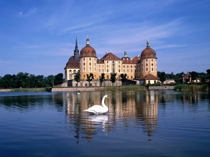 moritzburg_castel_germania-800x600 - imagini cu castele