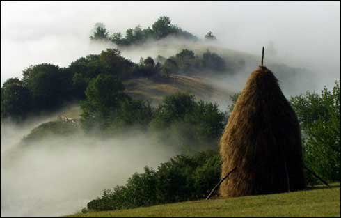 40515_1422563650852_1435558048_31119387_7700980_n