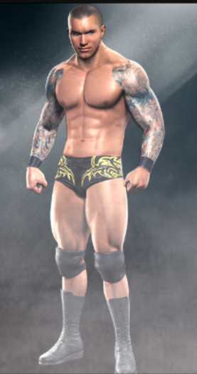 randy-orton-smackdown-vs-raw-2010-character