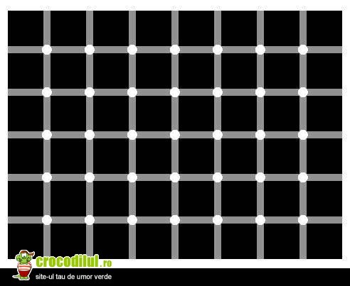 numara punctele negre - Iluzii optice