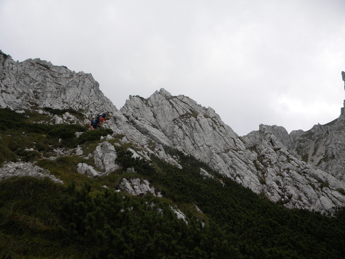 august 068 - PIATRA CRAIULUI 2010 AUGUST