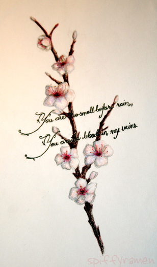  - xx Cherry Blossom xx