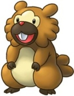 13414700_LENQXOFFK - bidoof