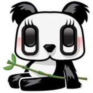  - Panda Bears