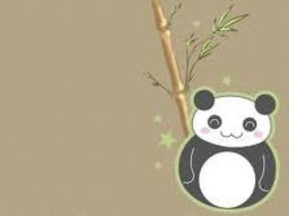  - Panda Bears