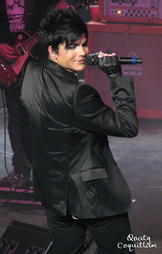 831678687_cL2ge-X2 - Adam Lambert