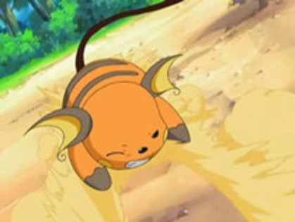 20961521_VSRFVWIRN - 0-0pokemon