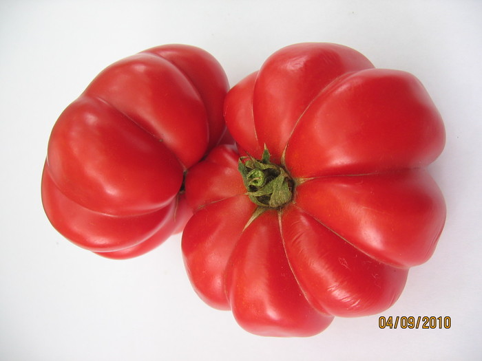 IMG_2772 - Tomate