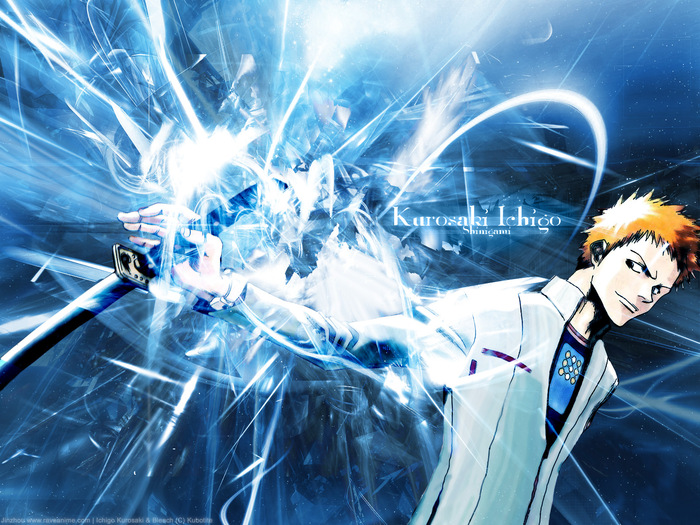 21 - Bleach