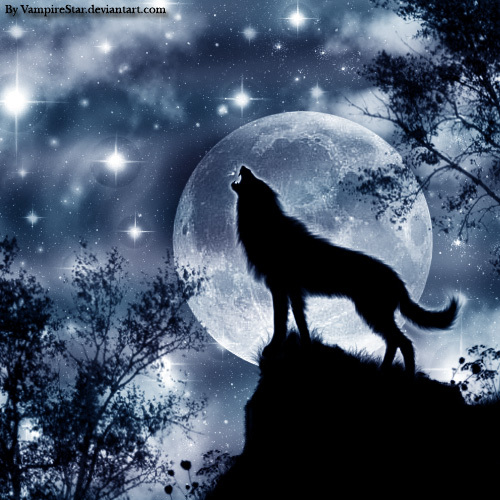 __Wolf__s_Song___by_VS_by_Canis_Lupis_Lovers