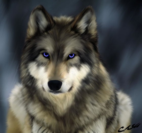 Blue_Eyed_Wolf_by_Shadow_Clone - lupi
